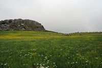 Le village de Plakias en Crète. Prairie entre Moundros et Kali Sykia. Cliquer pour agrandir l'image dans Adobe Stock (nouvel onglet).