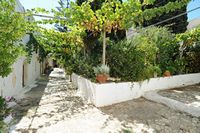 Le village de Thrapsano en Crète. Treille du monastère d'Agarathos. Cliquer pour agrandir l'image dans Adobe Stock (nouvel onglet).