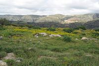 Le village de Thronos en Crète. Le bâtiment 1 du site archéologique de Syvritos. Cliquer pour agrandir l'image dans Adobe Stock (nouvel onglet).