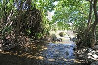 La ville d’Agia Fotini en Crète. Le Platys sous le pont de Manouras. Cliquer pour agrandir l'image dans Adobe Stock (nouvel onglet).