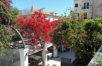 Le sud de la vieille ville de Corfou. La place Nicéphore Théotokis. Cliquer pour agrandir l'image dans Adobe Stock (nouvel onglet).