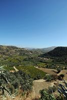 La ville d’Héraklion en Crète. Le vignoble de Venerato. Cliquer pour agrandir l'image dans Adobe Stock (nouvel onglet).