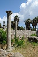 Die griechisch-römische Stadt Kos - Die Ruinen der Stoa des antiken Hafenstadt Kos. Klicken, um das Bild in Adobe Stock zu vergrößern (neue Nagelritze).