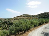 La côte nord de la commune de Sitia en Crète. Le site de la villa minoenne de Chamézi. Cliquer pour agrandir l'image dans Adobe Stock (nouvel onglet).