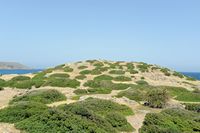 La ville de Sitia en Crète. Ruines de l'acropole de l'est d'Itanos à Palaikastro. Cliquer pour agrandir l'image dans Adobe Stock (nouvel onglet).