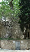 Plane of Christian martyrs in Rhodes. Click to enlarge the image.