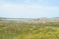 Le sanctuaire d'Apollon à Délos en Grèce. Les ruines du sanctuaire vues de l'est. Cliquer pour agrandir l'image.