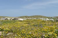 Le sanctuaire d'Apollon à Délos en Grèce. Les ruines du temple de l'Apollon délien. Cliquer pour agrandir l'image.