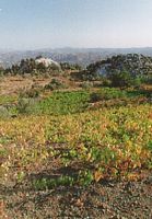 Le mont Atavyros à Rhodes. Cliquer pour agrandir l'image.