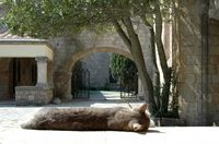 Cloître du monastère de Filérimos à Rhodes. Cliquer pour agrandir l'image.