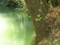 Le vallon des papillons à Rhodes. Cliquer pour agrandir l'image.