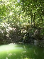 Le vallon des papillons à Rhodes. Cliquer pour agrandir l'image.