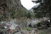 Les gorges de Samaria en Crète. Les gorges entre les Portes de Fer et Agia Roumeli. Cliquer pour agrandir l'image.