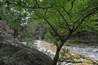 Les gorges de Samaria en Crète. Les gorges au nord du vieil Agia Roumeli. Cliquer pour agrandir l'image.