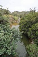 Le village d’Agios Pavlos en Crète. La rivière d'Akoumia près de Triopetra. Cliquer pour agrandir l'image.