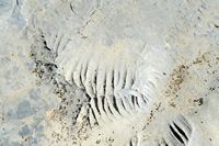 Le village de Garazo en Crète. Formation karstique de lapiaz à Aimonas. Cliquer pour agrandir l'image.