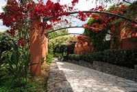 Le village de Kondokali sur l’île de Corfou. Pergola de bougainvillées à l'hôtel Kontokali. Cliquer pour agrandir l'image.