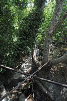 Le village de Koutsouras en Crète. Les gorges d'Orino dans le village. Cliquer pour agrandir l'image.