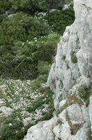 Falaise du château de Kastelos à Rhodes. Cliquer pour agrandir l'image.