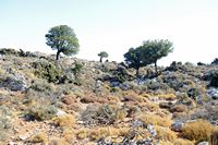 Le village de Kritsa en Crète. Plateau de Katharo. Cliquer pour agrandir l'image.