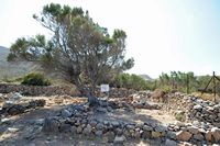 Le village de Palékastro en Crète. Îlot C du site archéologique de Roussolakkos. Cliquer pour agrandir l'image.