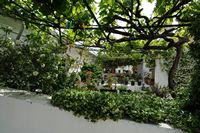 Le village de Paleokastrítsa à Corfou. Vigne du monastère. Cliquer pour agrandir l'image.