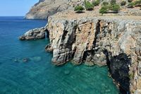Le village de Pyrgos en Crète. Bois de caroubiers à Tris Ekklisies (auteur Dretakis Manolis). Cliquer pour agrandir l'image.