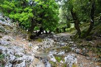 Le village de Zaros en Crète. Les gorges de Rouvas (auteur Géoparc du Psiloritis). Cliquer pour agrandir l'image.