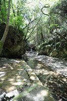 La ville d’Agia Fotini en Crète. Les gorges de Patsos. Cliquer pour agrandir l'image.