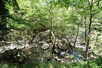 La ville d’Agia Fotini en Crète. Les gorges de Patsos. Cliquer pour agrandir l'image.