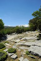 La ville d’Anogia en Crète. Le mont Ida vu depuis Zominthos. Cliquer pour agrandir l'image.