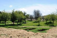 La ville d’Anogia en Crète. Le site archéologique de Zominthos. Cliquer pour agrandir l'image.