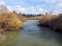 La ville de Gazi en Crète. La zone humide du fleuve Almyros (auteur C. Messier). Cliquer pour agrandir l'image.