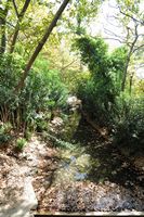 La ville de Gazi en Crète. La rivière de Fodélé. Cliquer pour agrandir l'image.