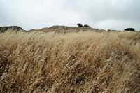 La côte nord de la commune d’Iérapétra en Crète. Cour du quartier A des ruines de Gournia. Cliquer pour agrandir l'image.
