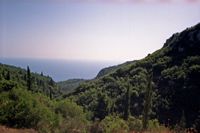 La ville de Lákones à Corfou. La végétation typique. Cliquer pour agrandir l'image.