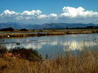 La ville de Lefkimi sur l’île de Corfou. Le marais d'Alykès près de Molos (auteur MariaDrimi68). Cliquer pour agrandir l'image.