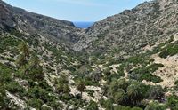 La ville de Mirès en Crète. Les gorges de Martsalos (auteur Dretakis Manolis). Cliquer pour agrandir l'image.