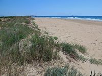La ville de Moraïtika sur l’île de Corfou. La plage de Chalikounas (auteur Kritsolina). Cliquer pour agrandir l'image.