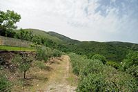 La ville de Nymfes sur l’île de Corfou. Le massif du Pantokrator vu depuis le village du Vieux-Périthia. Cliquer pour agrandir l'image.