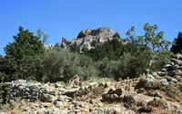 La forteresse de Paléo Pyli sur l'île de Kos (auteur Karelj). Cliquer pour agrandir l'image.