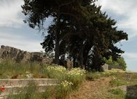 The walkway on the Boulevard de la Langue of England near the Gate St. John fortifications of Rhodes. Click to enlarge the image.