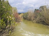 La ville de Viannos en Crète. Le fleuve Anopodaris près de Demati (auteur C. Messier). Cliquer pour agrandir l'image.