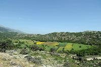 La ville de Vryssès en Crète. Le plateau de Krapi vu depuis la route provinciale. Cliquer pour agrandir l'image.