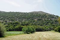 La ville de Vryssès en Crète. Cultures sur le plateau de Krapi près de Vrysses. Cliquer pour agrandir l'image.