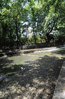 La ville de Vryssès en Crète. Le confluent des rivières à Vryses. Cliquer pour agrandir l'image.