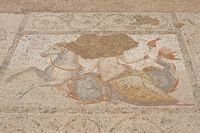 Atrium westlich von Kos Casa Romana - Nymph Reiten ein Seeungeheuer (Autor reini68). Klicken, um das Bild in Flickr zu vergrößern (neue Nagelritze).