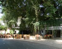 La ville de Nymfes sur l’île de Corfou. Orme géant du village de Strinilas (auteur Nicu Tatulescu). Cliquer pour agrandir l'image dans Flickr (nouvel onglet).