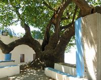 Le monastère Saint-Jean Thymianos près de Kéfalos sur l'île de Kos (auteur Manos Mas). Cliquer pour agrandir l'image dans Panoramio (nouvel onglet).