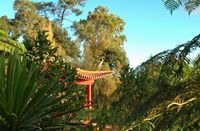 . Click to enlarge the image in Adobe Stock (new tab).